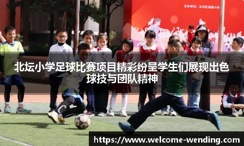 问鼎娱乐