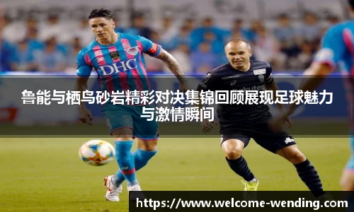 问鼎娱乐