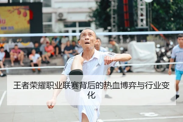 王者荣耀职业联赛背后的热血博弈与行业变化 - 新闻资讯相关文章缩略图